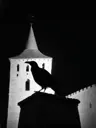 shadow0's Avatar
